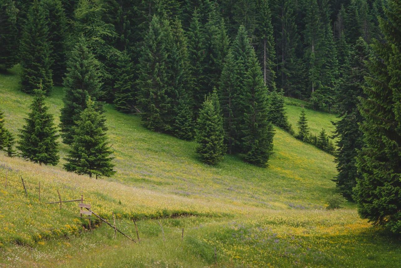 Jela Natural Resort Rozaje Экстерьер фото